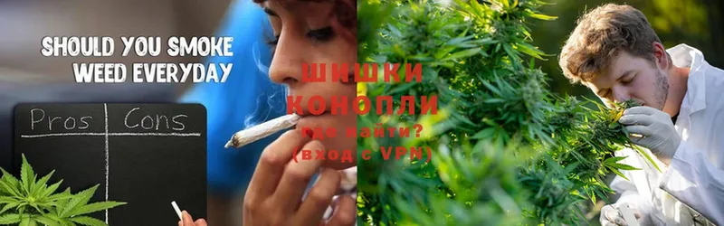 Бошки Шишки Ganja  ОМГ ОМГ ТОР  Электрогорск 